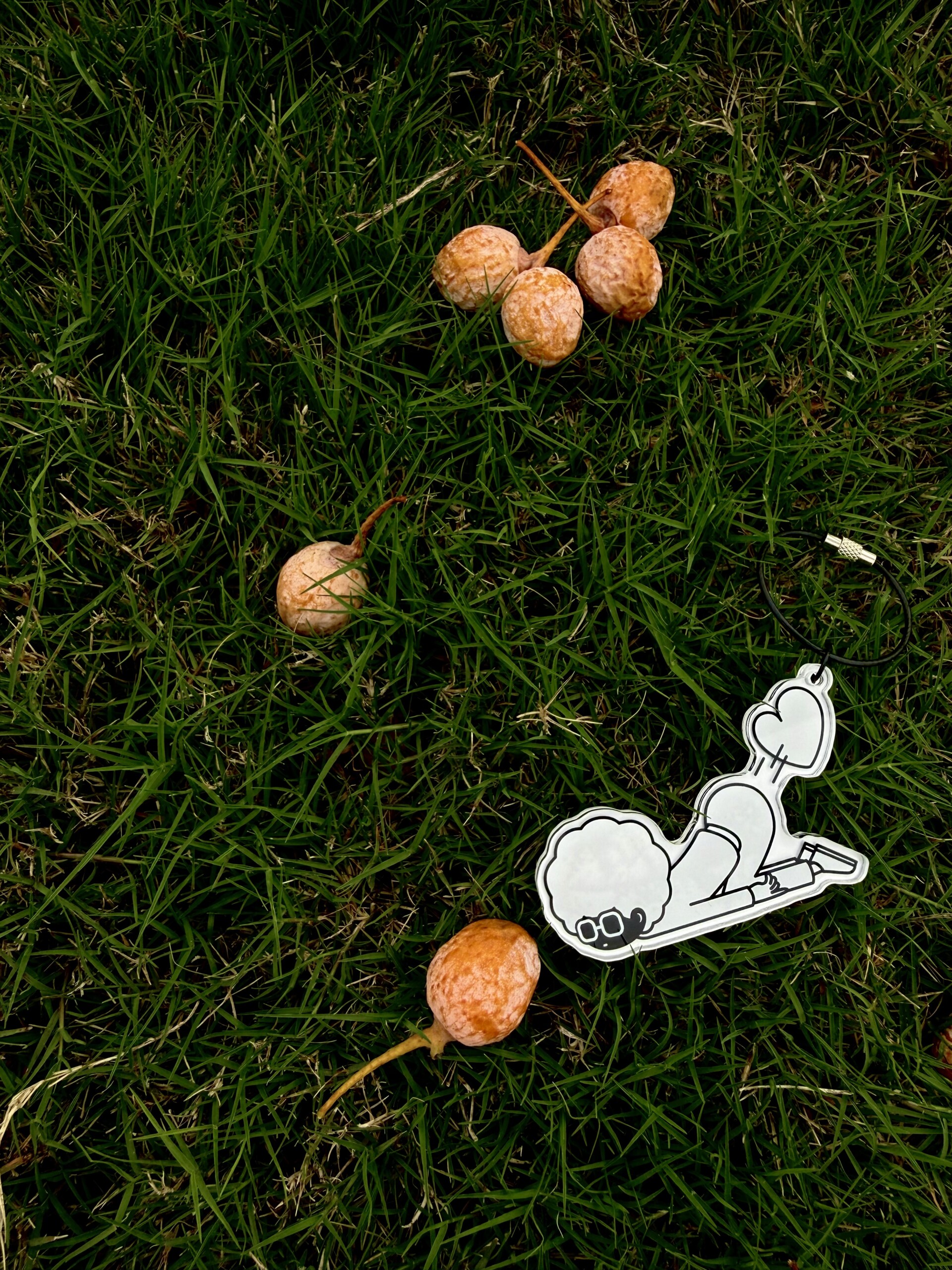 b1b300e6061a7f7aae559716291f16cd